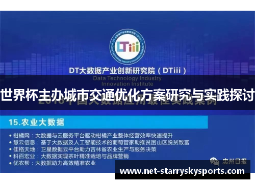 世界杯主办城市交通优化方案研究与实践探讨