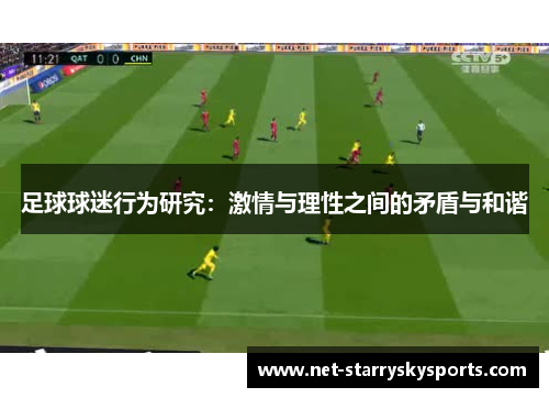 足球球迷行为研究：激情与理性之间的矛盾与和谐