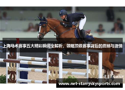 上海马术赛事五大精彩瞬间全解析，领略顶级赛事背后的震撼与激情
