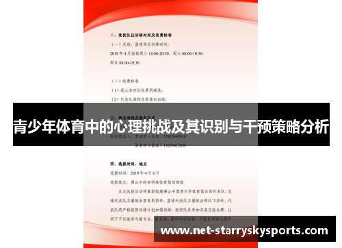 青少年体育中的心理挑战及其识别与干预策略分析