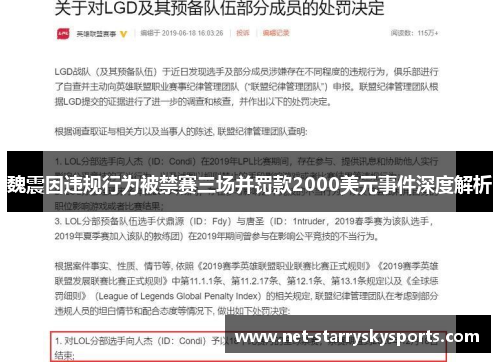 魏震因违规行为被禁赛三场并罚款2000美元事件深度解析