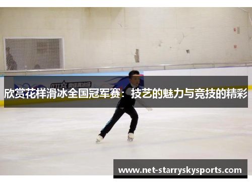 欣赏花样滑冰全国冠军赛：技艺的魅力与竞技的精彩