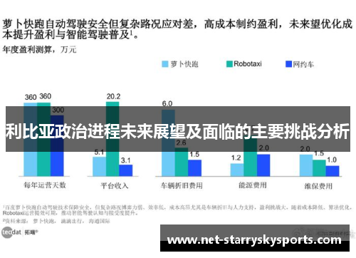 利比亚政治进程未来展望及面临的主要挑战分析