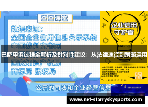 巴萨申诉过程全解析及针对性建议：从法律途径到策略运用