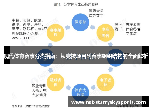 现代体育赛事分类指南：从竞技项目到赛事组织结构的全面解析