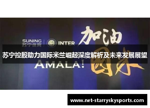 苏宁控股助力国际米兰崛起深度解析及未来发展展望 苏宁控股助力国际米兰崛起深度解析及未来发展展望
