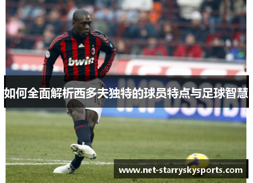 如何全面解析西多夫独特的球员特点与足球智慧 如何全面解析西多夫独特的球员特点与足球智慧